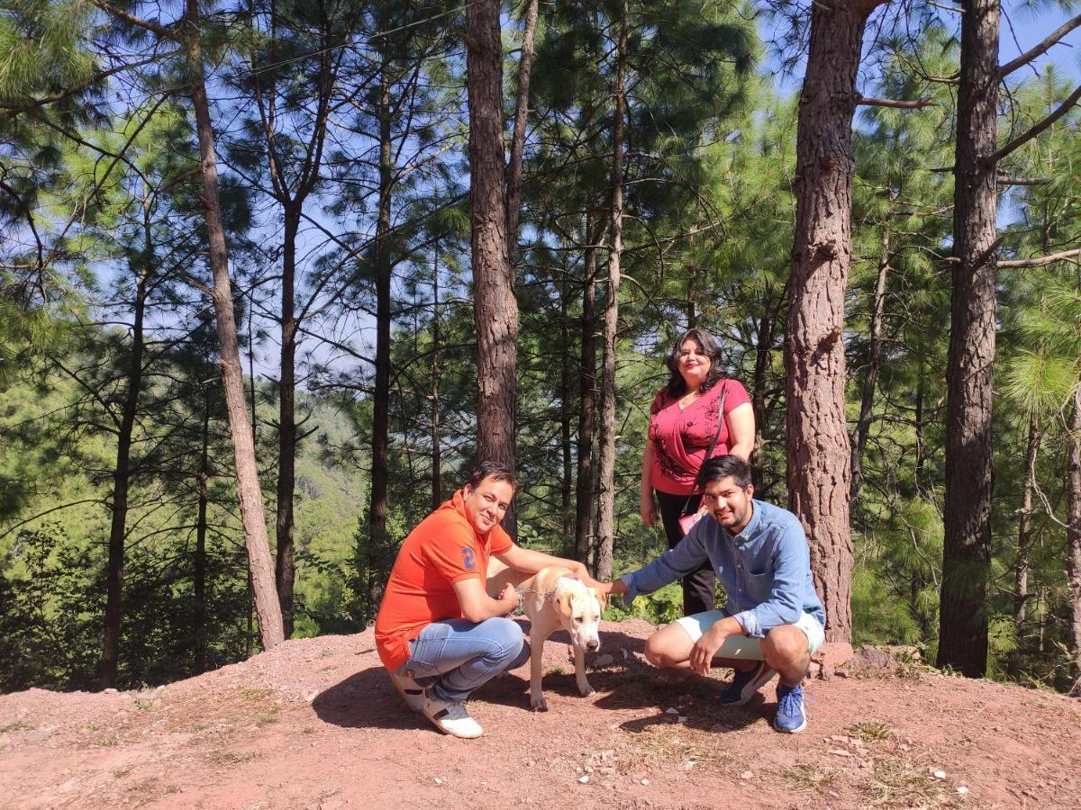 The Asgard Kasauli Bed & Breakfast Luaran gambar