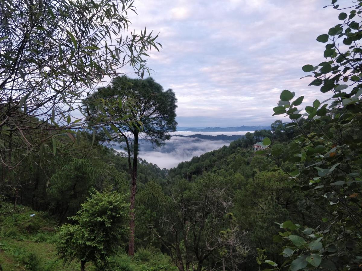 The Asgard Kasauli Bed & Breakfast Luaran gambar